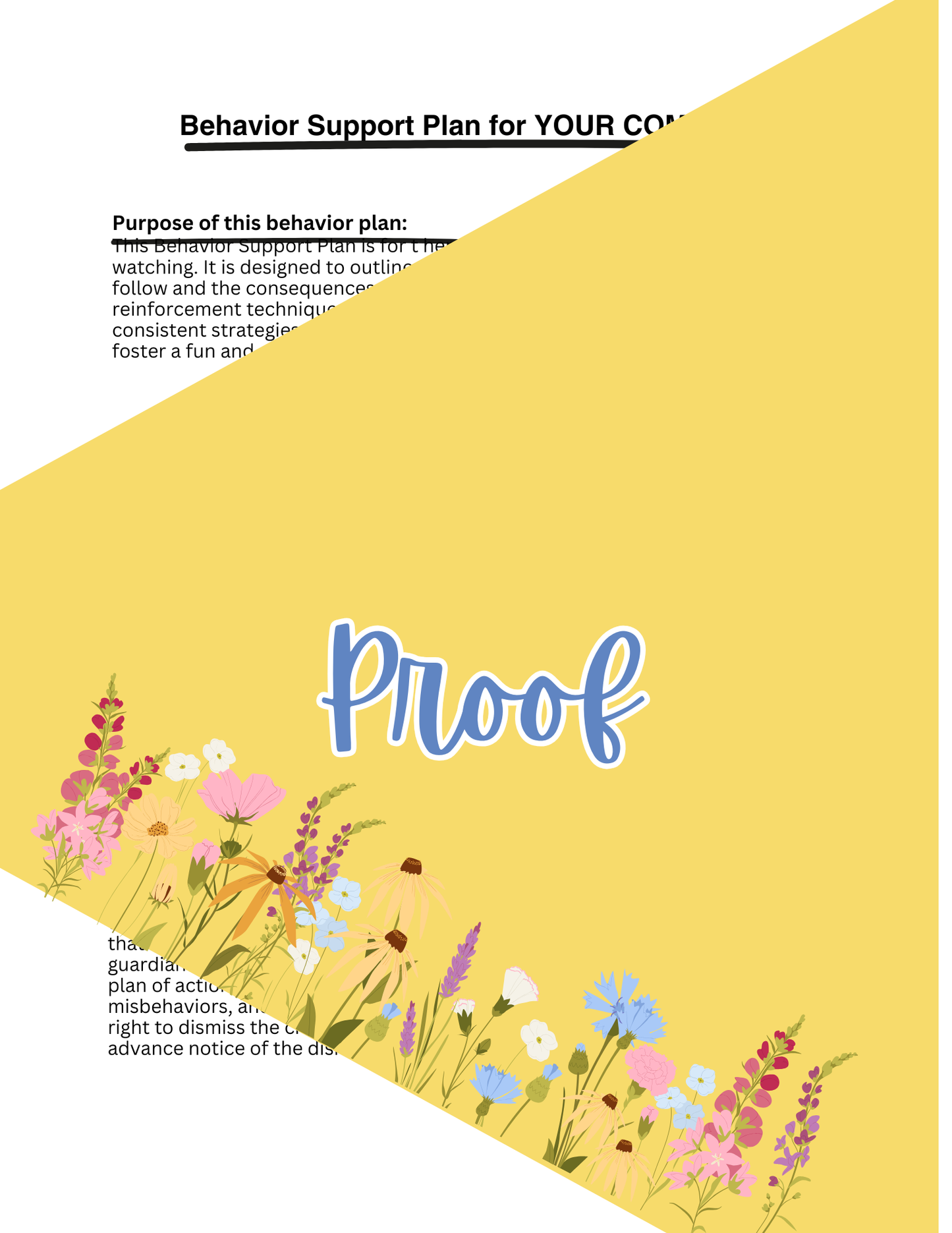 Behavioral Plan Template